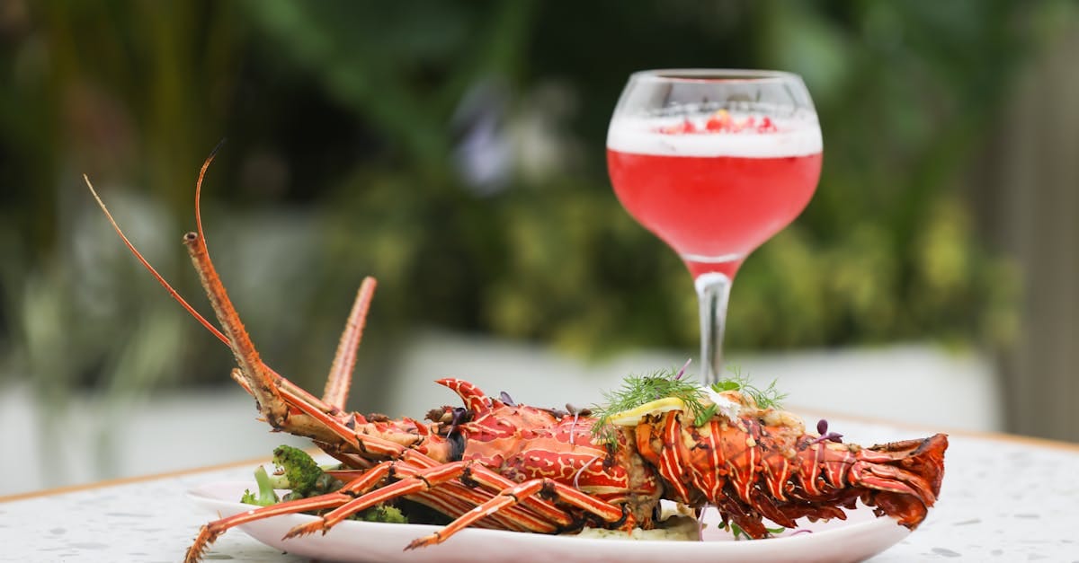 Toulouse Gourmande : Les Trésors Culinaires à Moins de 35€