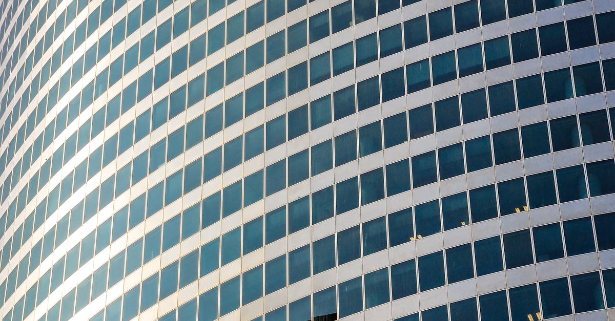 EDF : Une Stratégie Gagnante pour Conquérir le Marché Européen