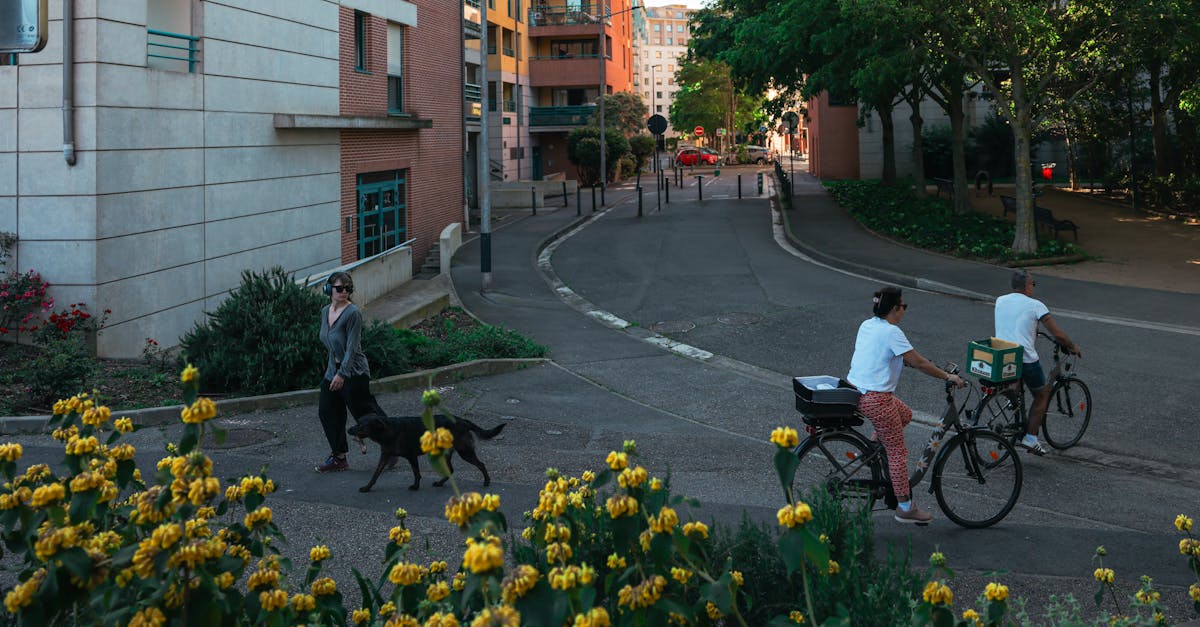 Toulouse : Pourquoi Cette Ville Séduit de Plus en Plus de Visiteurs !