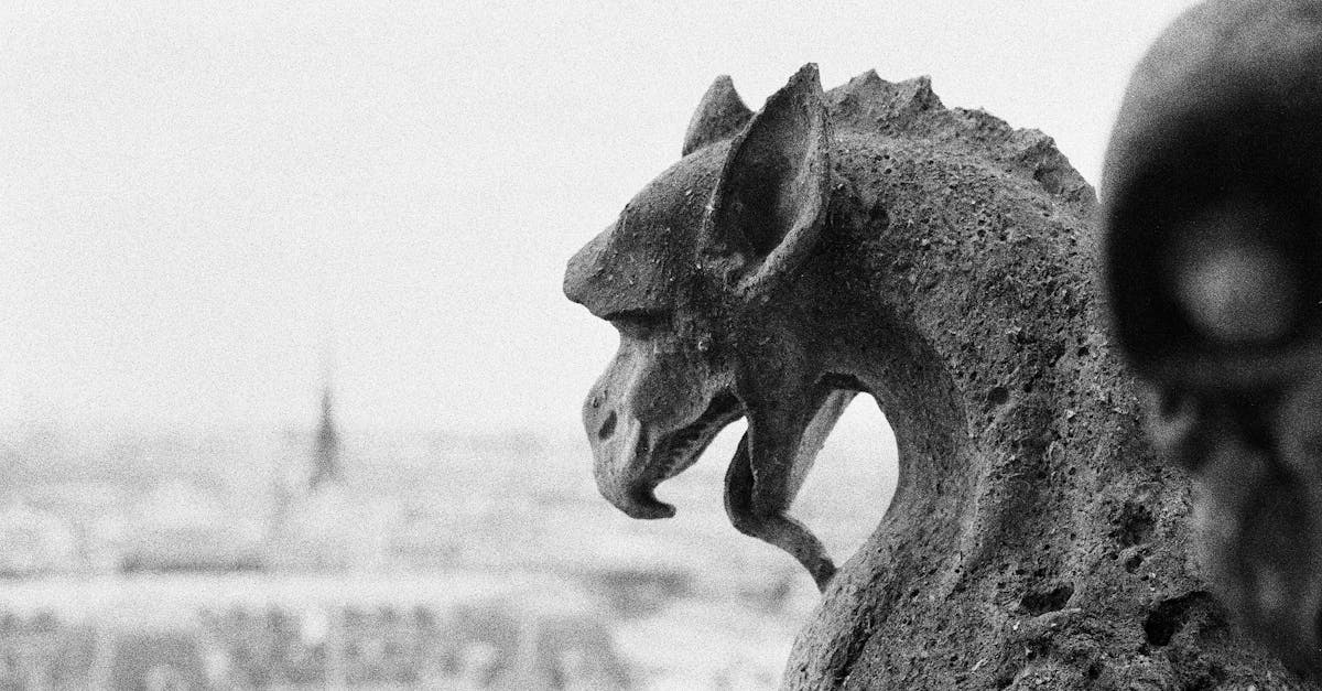 Les chimères : un voyage gustatif entre aligot et délices aveyronnais à Toulouse