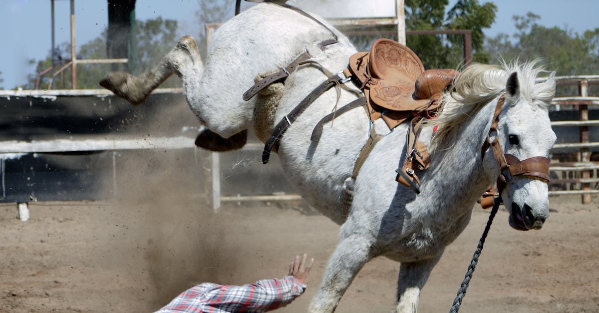 Le cowboy français renaît au cœur du River Oaks District