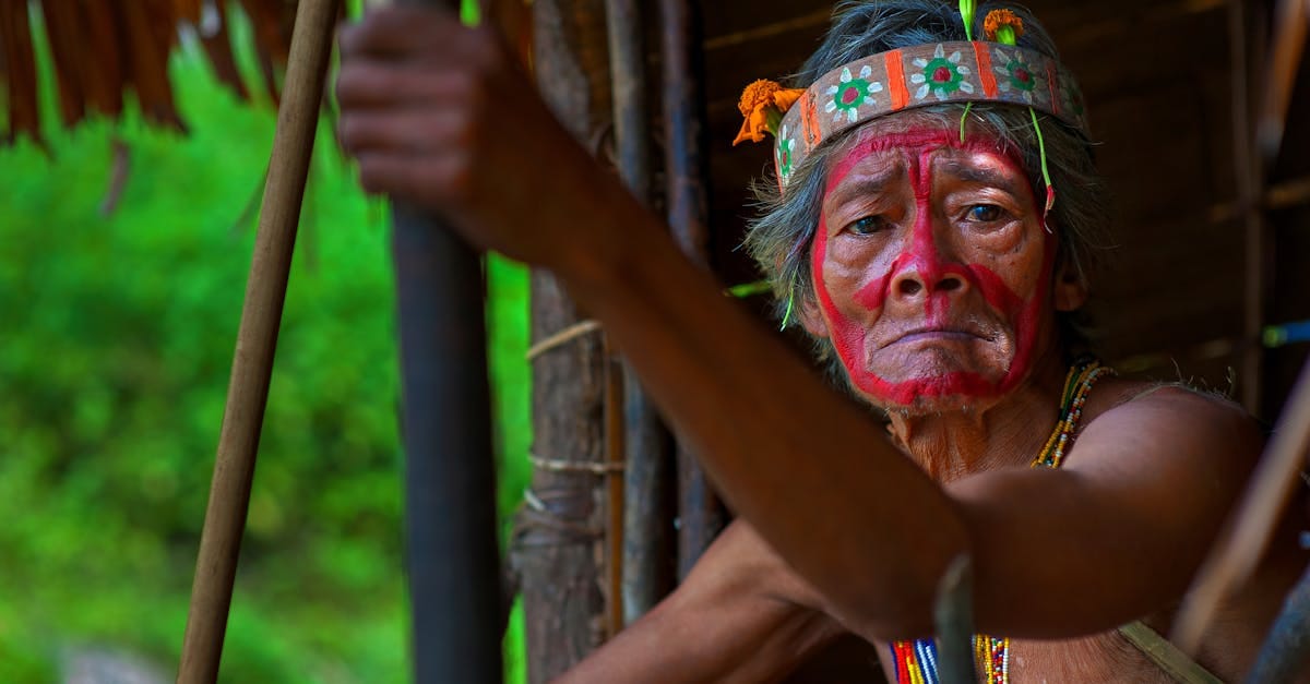 découvrez la richesse et la diversité des cultures autochtones à travers le monde, leurs traditions fascinantes, leur histoire unique et leur héritage précieux. apprenez comment ces communautés continuent de préserver leur identité tout en contribuant au monde moderne.