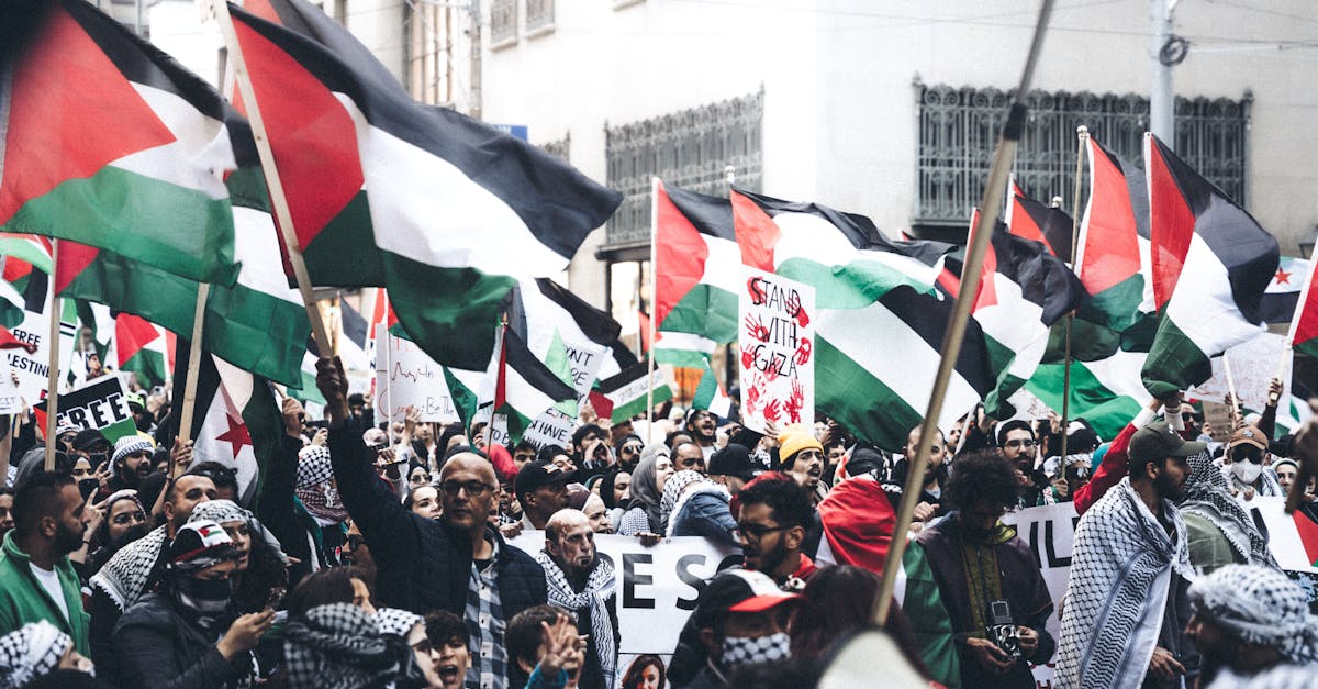 découvrez l'atmosphère chaleureuse et vibrante des après-midis palestiniens, où la culture, les traditions et la convivialité se mêlent pour offrir une expérience inoubliable au cœur de la palestine. explorez la richesse des paysages, des saveurs et des rencontres humaines qui font de chaque après-midi un moment précieux.