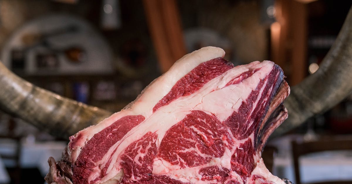 découvrez notre steakhouse, un lieu convivial où vous pourrez savourer des steaks juteux et des plats grillés à la perfection. profitez d'une ambiance chaleureuse et d'un service impeccable pour une expérience culinaire inoubliable.