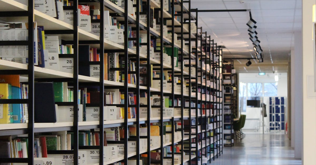 découvrez l'univers fascinant de la culture : arts, traditions, et innovations qui façonnent notre société. explorez les divers aspects culturels qui enrichissent notre quotidien et favorisent la compréhension interculturelle.