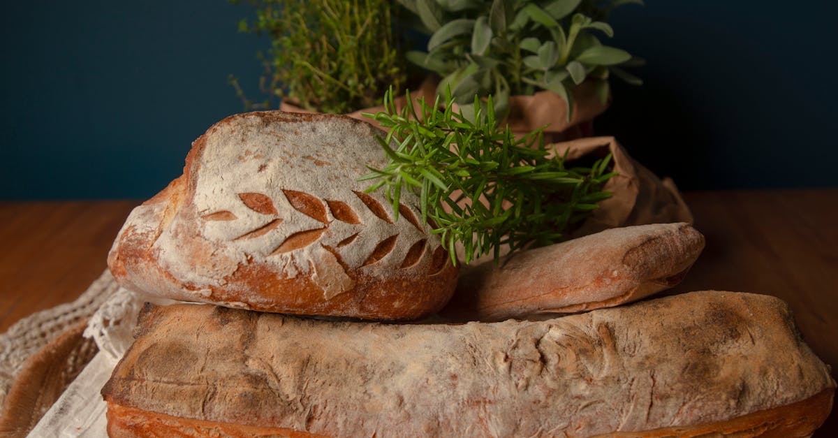 découvrez l'univers fascinant de la gastronomie, où l'art culinaire rencontre la culture et l'histoire. explorez des recettes savoureuses, des techniques de cuisson innovantes et des tendances gastronomiques qui éveilleront vos papilles. que vous soyez un amateur de cuisine ou un chef passionné, plongez dans un voyage sensoriel unique à travers les saveurs du monde.