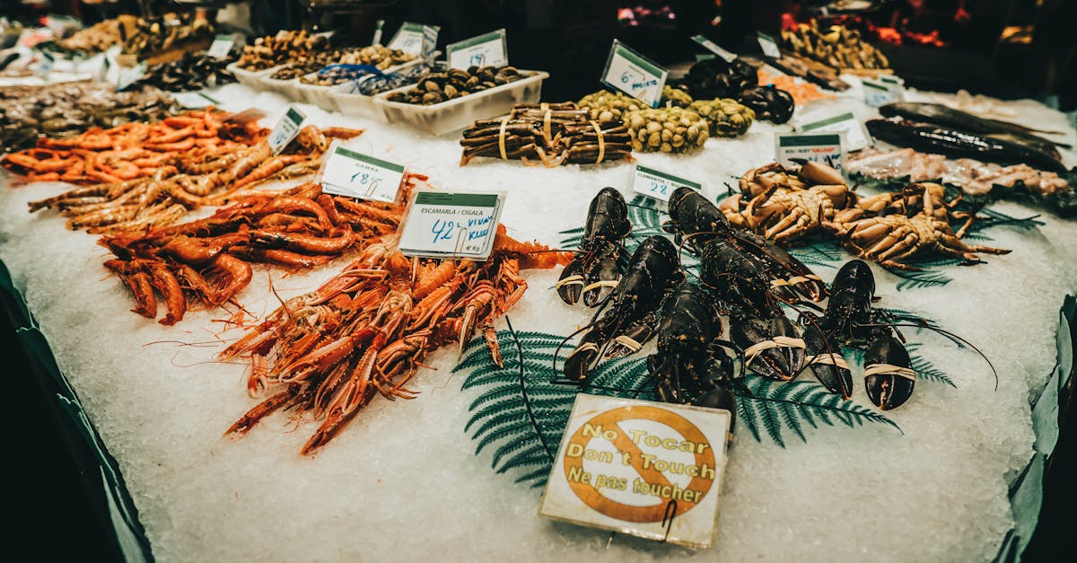 découvrez les marchés gourmets, des lieux incontournables pour les amateurs de gastronomie. explorez une sélection raffinée de produits locaux et artisanaux, savourant des délices culinaires uniques.