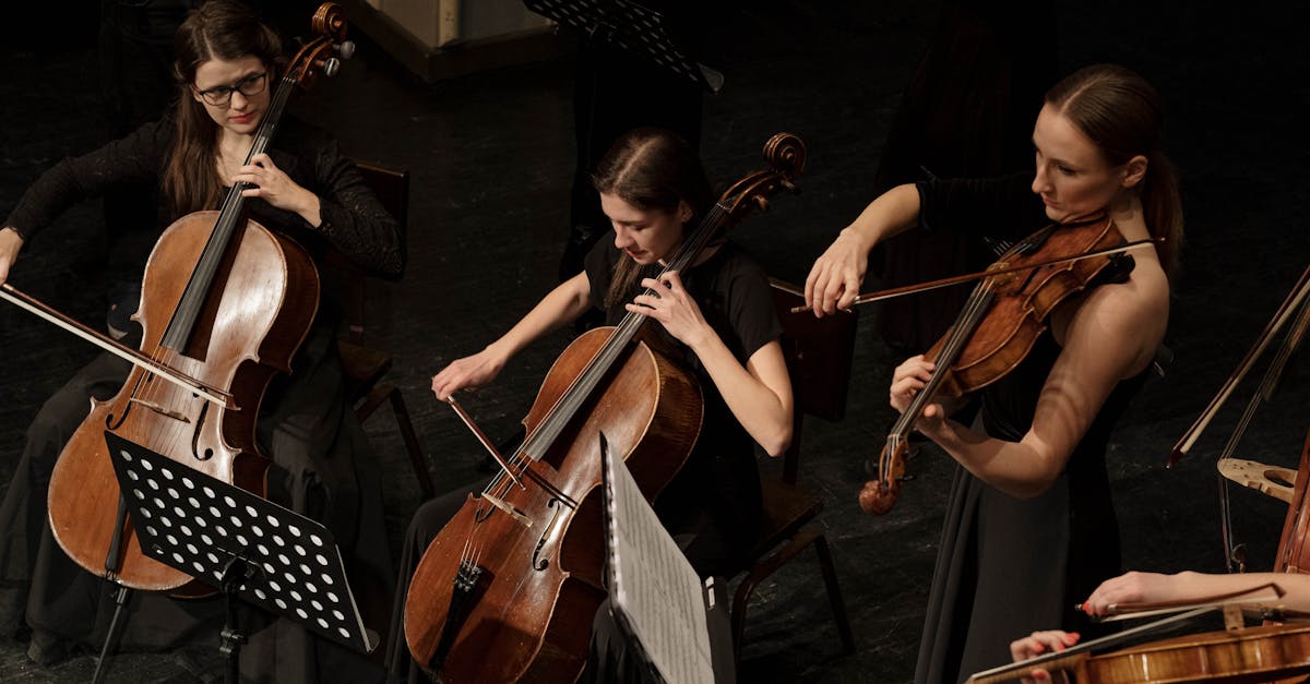 découvrez orchestra, un lieu unique alliant musique, théâtre et arts vivants. plongez dans une expérience immersive où la créativité prend vie à travers des spectacles captivants et des événements variés qui ravissent tous les âges.