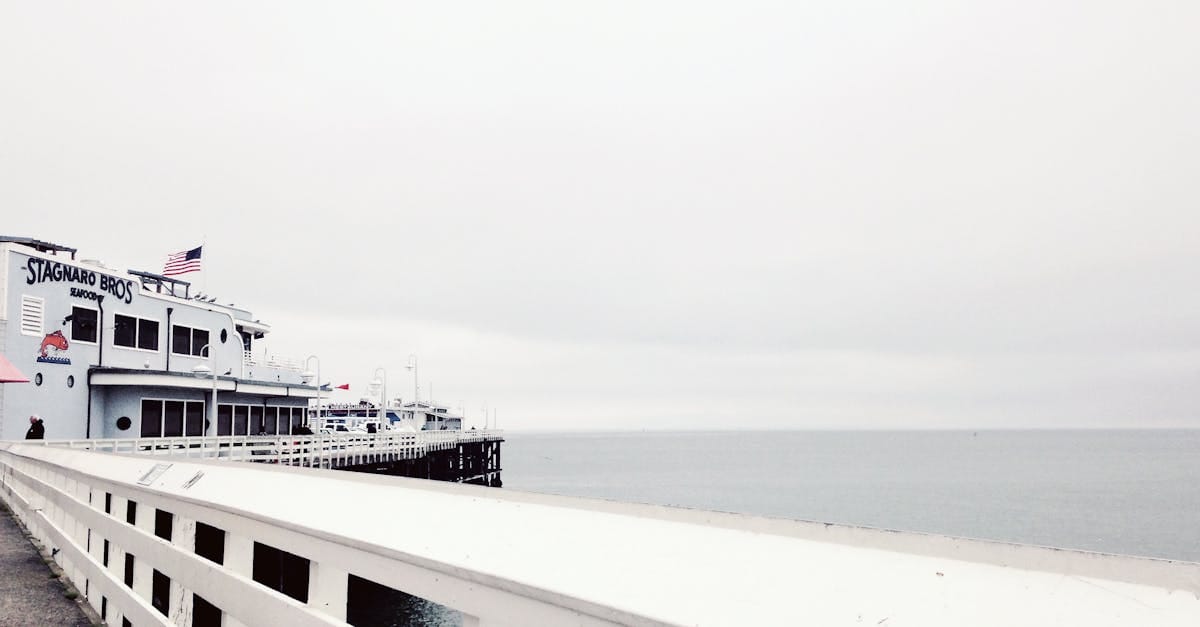 découvrez un restaurant en bord de mer au charme original, où des plats savoureux mêlent fraîcheur des produits locaux et une ambiance décalée. profitez d'une expérience culinaire unique tout en contemplant les vagues.