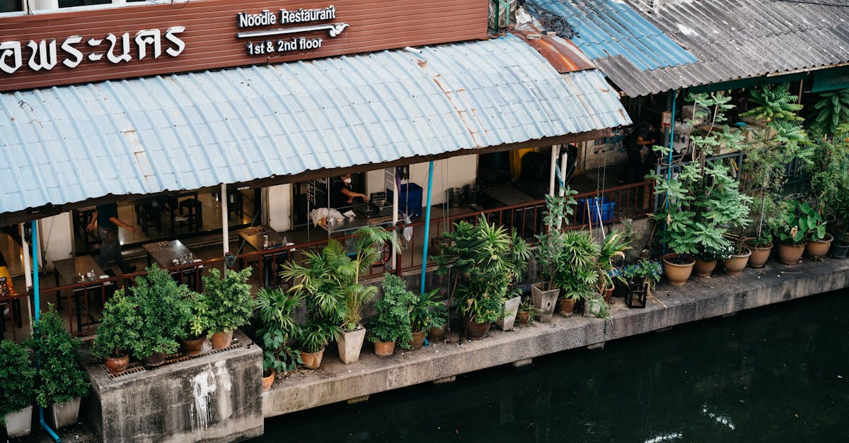 découvrez les meilleurs restaurants thaïlandais où savourez des plats authentiques et épicés, de la fameuse soupe tom yum aux délicieux currys. une expérience culinaire inoubliable vous attend pour éveiller vos sens !