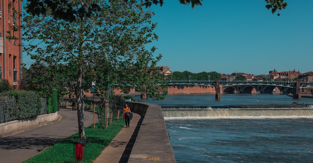 découvrez toulouse, la ville rose, réputée pour sa riche histoire, son architecture unique et sa gastronomie savoureuse. explorez ses quartiers animés, ses musées fascinants et profitez d'une atmosphère conviviale qui fait le charme de cette métropole du sud de la france.