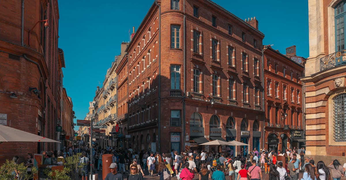 découvrez toulouse, la ville rose, riche en histoire et culture. explorez ses monuments emblématiques, ses espaces verts et sa gastronomie savoureuse. plongez dans l'atmosphère chaleureuse de cette ville dynamique du sud de la france.