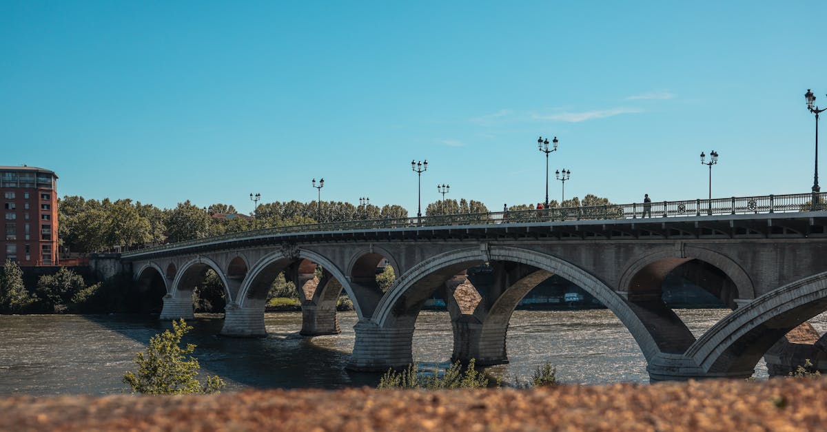 découvrez les meilleures activités à toulouse ! explorez la ville rose à travers ses musées, parcs, événements culturels et gastronomiques. profitez d'un séjour inoubliable en famille ou entre amis en découvrant la richesse de cette belle métropole.