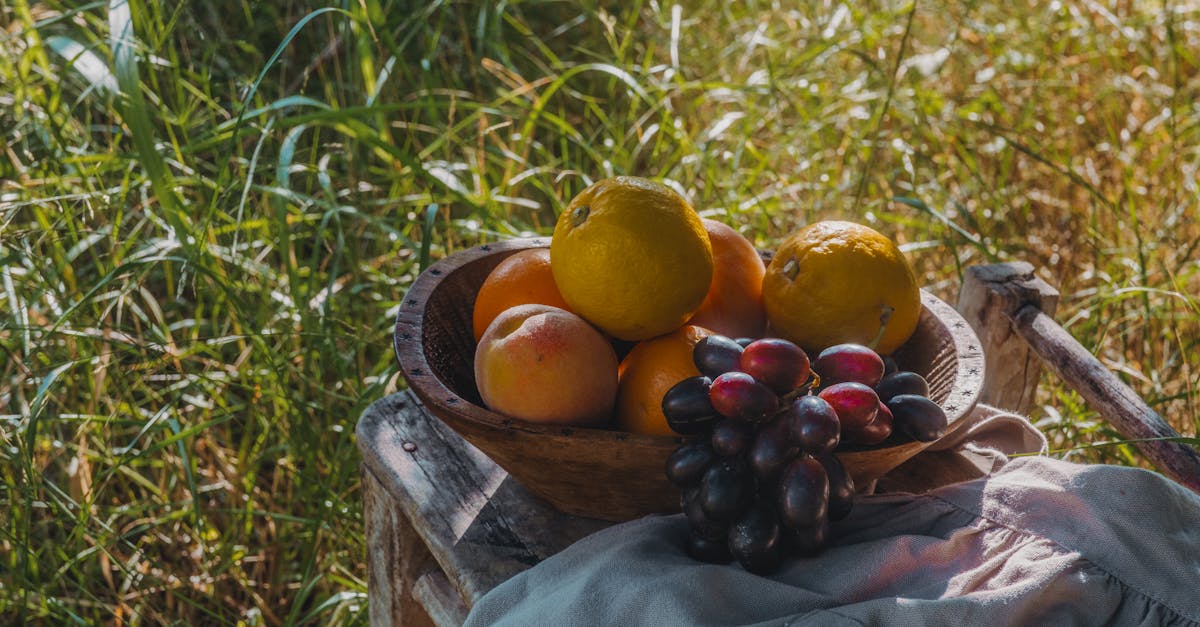 découvrez tout sur les mouches des fruits : leur biologie, leur rôle dans l'écosystème, et des conseils pratiques pour les prévenir et les contrôler dans votre maison.