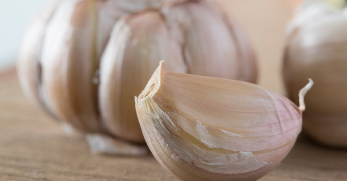 découvrez l'univers fascinant des odeurs avec odor, votre guide pour explorer les arômes naturels et artificiels qui nous entourent. apprenez comment les odeurs influencent nos émotions, nos souvenirs et notre bien-être au quotidien.