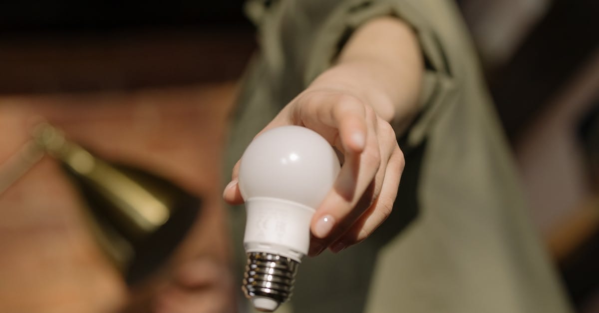 découvrez comment l'innovation durable transforme notre avenir en alliant technologie, écologie et responsabilité sociale. explorez des solutions créatives qui préservent notre planète tout en stimulant la croissance économique.