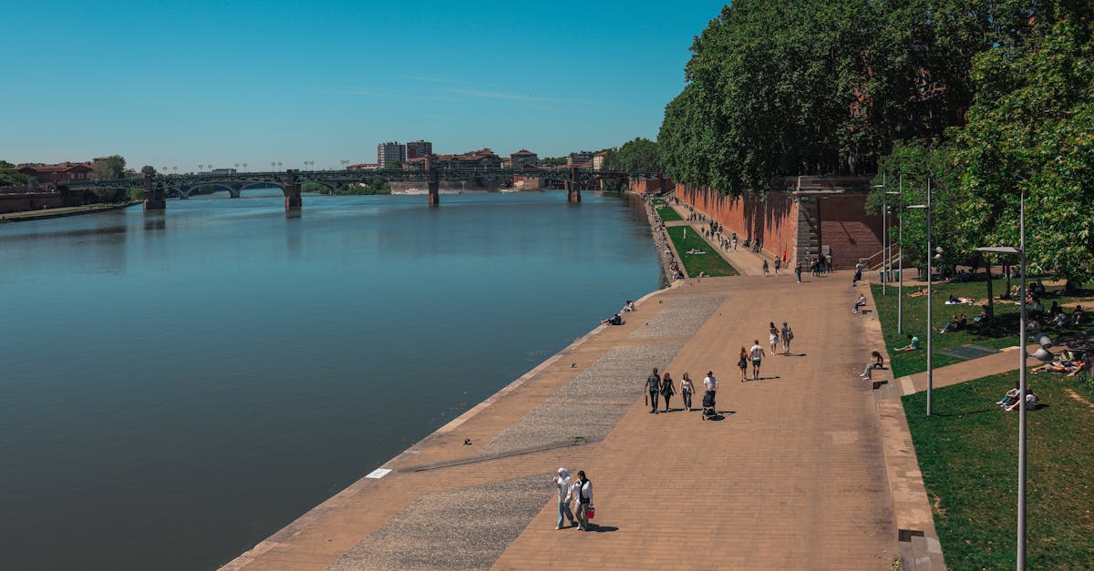 découvrez toulouse, la ville rose au patrimoine riche et à la culture vivante. explorez ses monuments emblématiques, savourez la délicieuse cuisine régionale et profitez de l'ambiance chaleureuse de la capitale de l'occitanie.