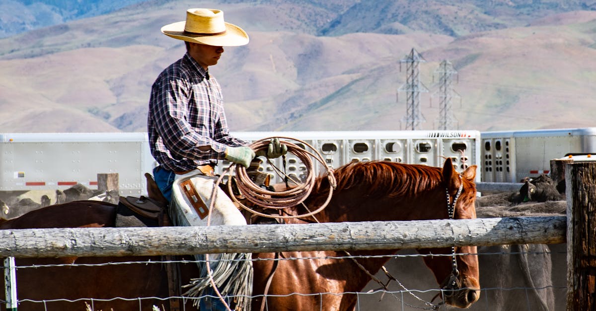 découvrez l'univers fascinant des cowboys, héros légendaires du far west. plongez dans leur mode de vie, leur culture, et les aventures épiques qui ont marqué l'histoire de l'ouest américain.