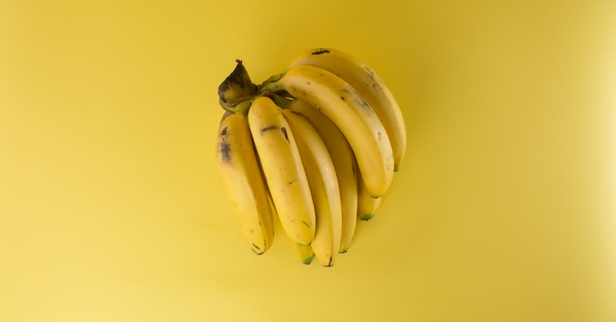 découvrez la richesse et la diversité des fruits ! explorez les bienfaits nutritionnels, les recettes délicieuses et les conseils pour intégrer ces trésors naturels dans votre alimentation quotidienne.