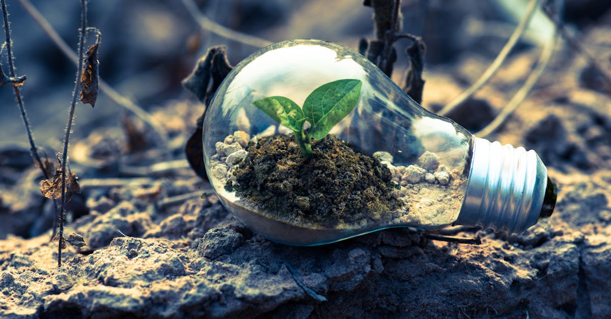 découvrez les dernières tendances en matière d'innovation, des technologies disruptives aux idées révolutionnaires qui transforment notre quotidien. explorez comment l'innovation façonne l'avenir des entreprises et des sociétés.