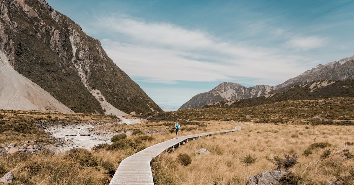 découvrez l'univers du trail, une aventure en pleine nature qui allie endurance et exploration. que vous soyez débutant ou expert, plongez dans des parcours à couper le souffle et profitez de l'adrénaline des sentiers. rejoignez la communauté des passionnés de trail et explorez des paysages époustouflants.