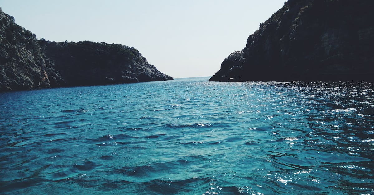 découvrez l'importance de l'eau, ressource essentielle à la vie. explorez ses bienfaits, son rôle dans l'écosystème et les enjeux de sa préservation. plongez dans l'univers fascinant de l'eau, de son cycle naturel à son utilisation quotidienne.