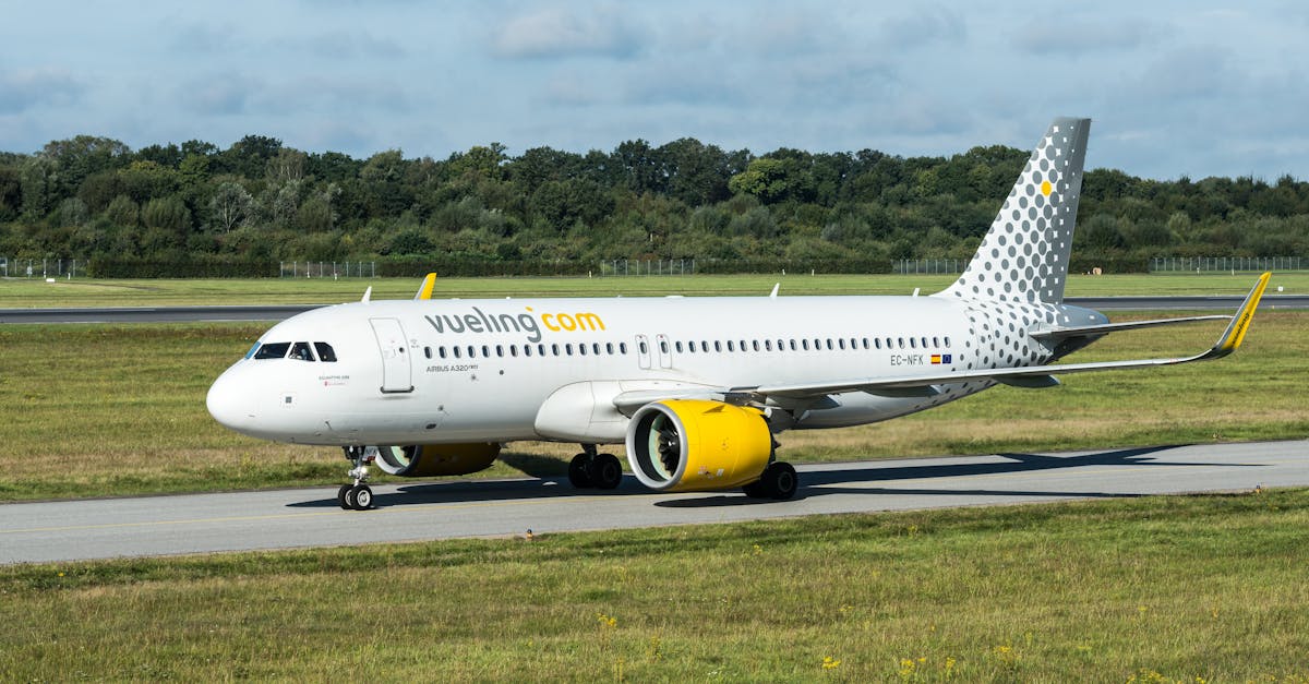 découvrez l'airbus a320, un avion de ligne moderne et efficace, symbole de l'innovation aéronautique. apprenez-en davantage sur ses caractéristiques techniques, son confort à bord et son impact sur l'industrie du transport aérien.
