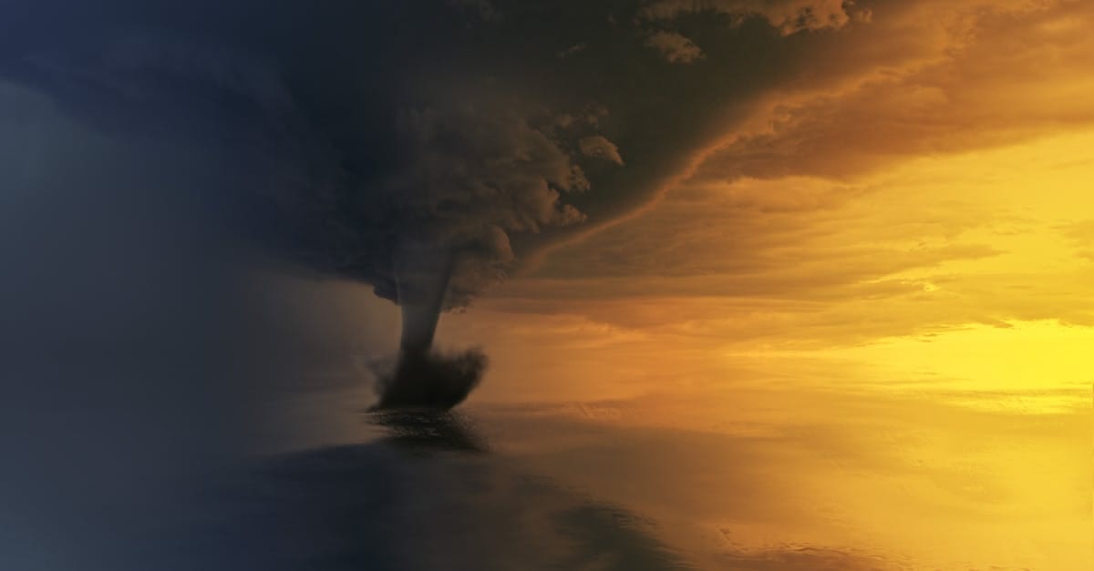 découvrez 'dual damage', un jeu captivant où l'action et la stratégie se rencontrent. plongez dans un univers palpitant où chaque choix peut mener à la victoire ou à la défaite. préparez-vous à affronter des ennemis redoutables et à déployer des tactiques innovantes pour sortir victorieux !