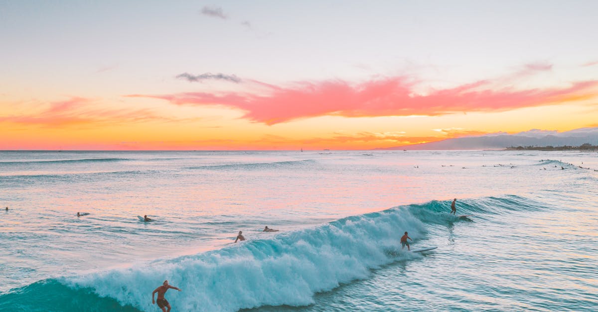 découvrez l'univers enchanteur de pink paradise, un havre de paix où la beauté et la sérénité se rencontrent. plongez dans un monde de couleurs douces et d'expériences sensorielles uniques, idéales pour une escapade relaxante et inspirante.